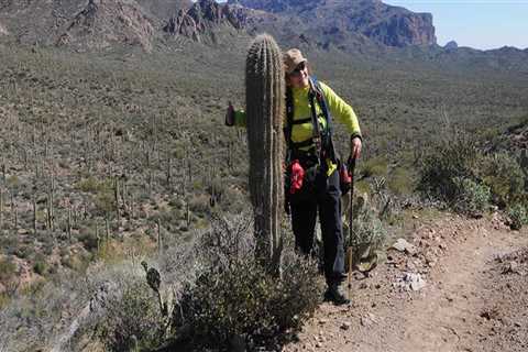 Exploring the Best Hiking Trails in Maricopa County, Arizona