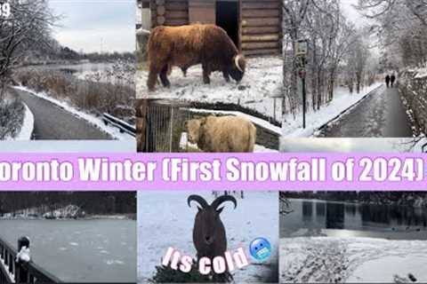 First Snowfall of 2024❄️/ Toronto Winter/ Tibetan Vlogger 🇨🇦/ A Walk in the Snow/ Winter Vlog