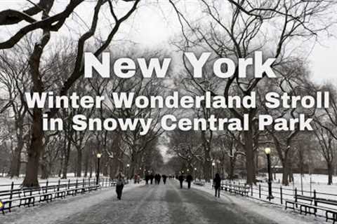 Winter Wonderland Walk in Central Park, New York  After the Snowstorm January 16, 2024 / ASMR