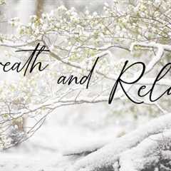 RELAX in Winter: Enjoy the soothing music and gentle snow falling for mindfulness, sleep, study