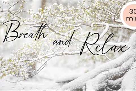 RELAX in Winter: Enjoy the soothing music and gentle snow falling for mindfulness, sleep, study
