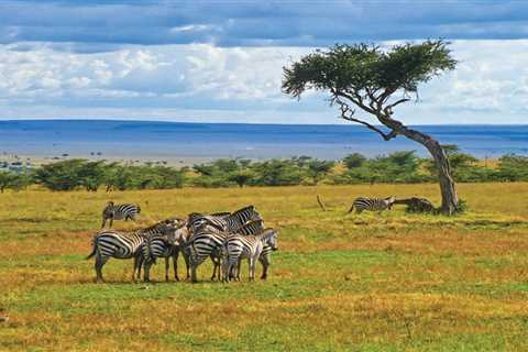 Exploring Kenya: A Journey Through Rich Culture and Breathtaking Landscapes