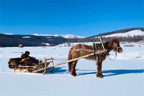 Reindeer Herders: Frequently Asked Questions - Discover Altai