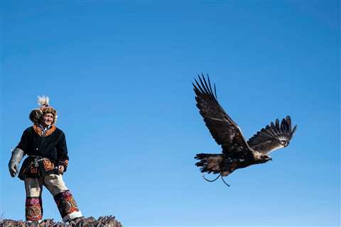 What is the largest eagle in Mongolia? - Discover Altai