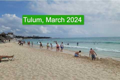 Tulum Locals And Vendors Report Less Sargassum Seaweed In 2024