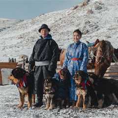 Mongolian Dog Breeds: Nomadic Companions