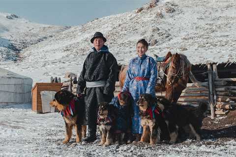 Mongolian Dog Breeds: Nomadic Companions