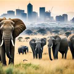Discover Big 5 Game Reserves in South Africa - Game Reserves SA