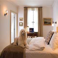 Exploring Pet-Friendly Guesthouses in Central Pennsylvania