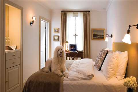 Exploring Pet-Friendly Guesthouses in Central Pennsylvania