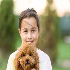 Ensure Safe Travels For Your Dog With Professional Care From A Dog Day Care Centre In Sydney