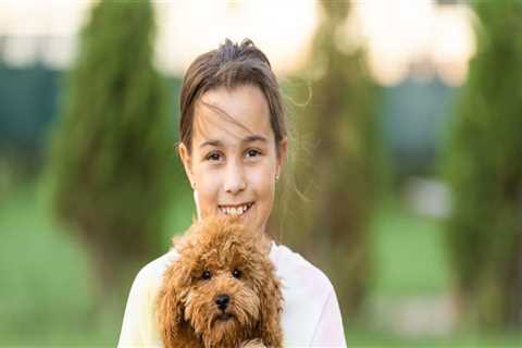 Ensure Safe Travels For Your Dog With Professional Care From A Dog Day Care Centre In Sydney