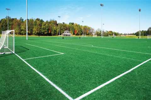 The Ultimate Guide to Sports Venues in Northeastern Illinois