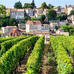 Savor the Experience: Why Vineyard Tours Are the Perfect Getaway