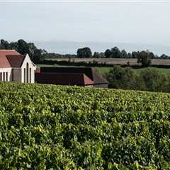 Uncork the Experience: Top Wine Tour Destinations to Visit This Year