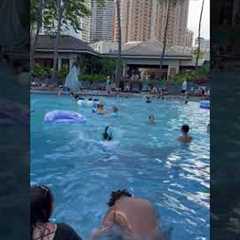 Hilton Hawaiian Village Waikiki Beach Resort Super Pool