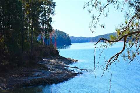 Uncovering the Hidden Gems of Bartow County, Georgia