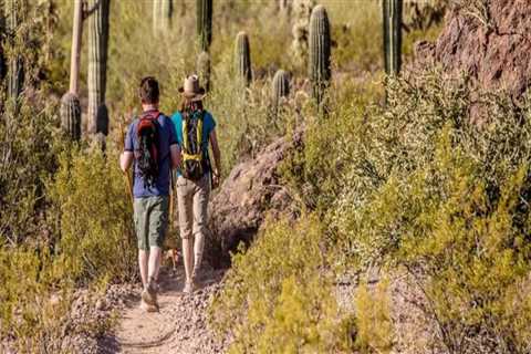 Adventure Without Risk: Practical Ways to Stay Safe While Traveling