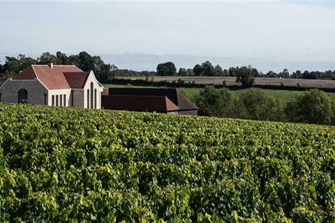 Uncork the Experience: Top Wine Tour Destinations to Visit This Year
