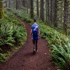 Discovering the Natural Wonders: Must-Visit Hiking Trails in Western Oregon