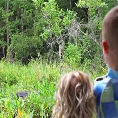 The Best Outdoor Excursion Tours for Families with Kids