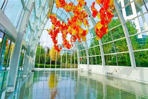 Discovering the Vibrant Culture of King County, Washington