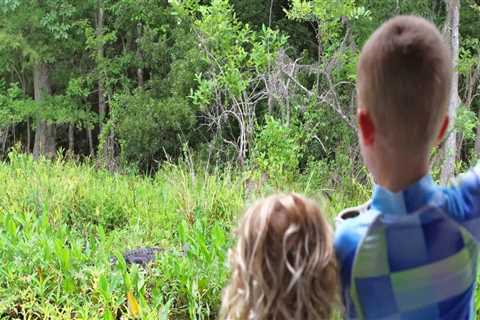 The Best Outdoor Excursion Tours for Families with Kids