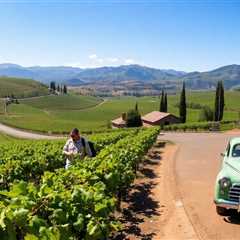 Mendoza Road Trip: Exploring Argentina’s Wine Country Vineyards