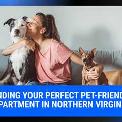 Finding Your Perfect Pet-Friendly Apartment in Northern Virginia | MyProMovers