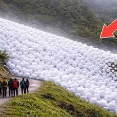 75 Most Incredible Nature Moments Ever Caught on Camera