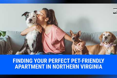 Finding Your Perfect Pet-Friendly Apartment in Northern Virginia | MyProMovers
