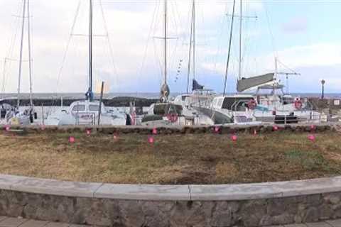 Lahaina harbor opens for business