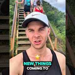 The Only Hawaii Food Guide You Need