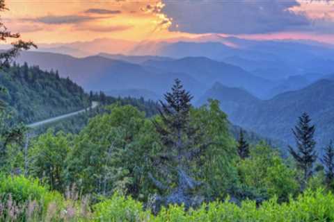 Scenic Drives in Central North Carolina: A Tourist's Guide to Breathtaking Routes