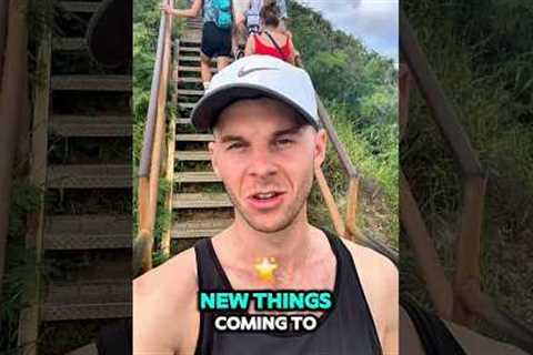 The Only Hawaii Food Guide You Need