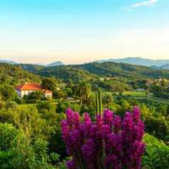 Eco Tours in San Miguel de Allende: Discover Sustainable Adventures