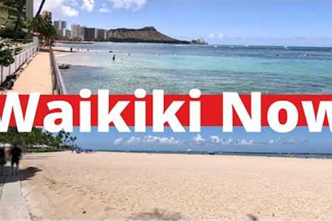 What the BEACH in front of your WAIKIKI hotel ACTUALLY looks like | Honolulu | OAHU