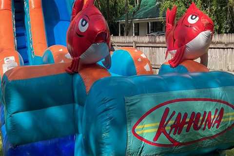 Creating Memorable Vineyard Tours With Bounce House Rental Additions