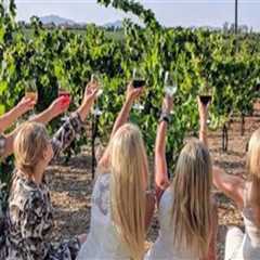 Group Wine Tours: Making the Journey as Enjoyable as the Destination