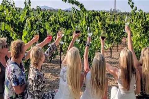 Group Wine Tours: Making the Journey as Enjoyable as the Destination
