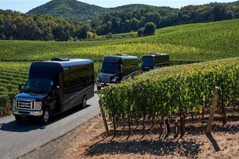 How Wine Tour Companies Handle Transportation and Venue Coordination